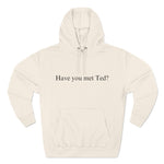 Ted Hoodie