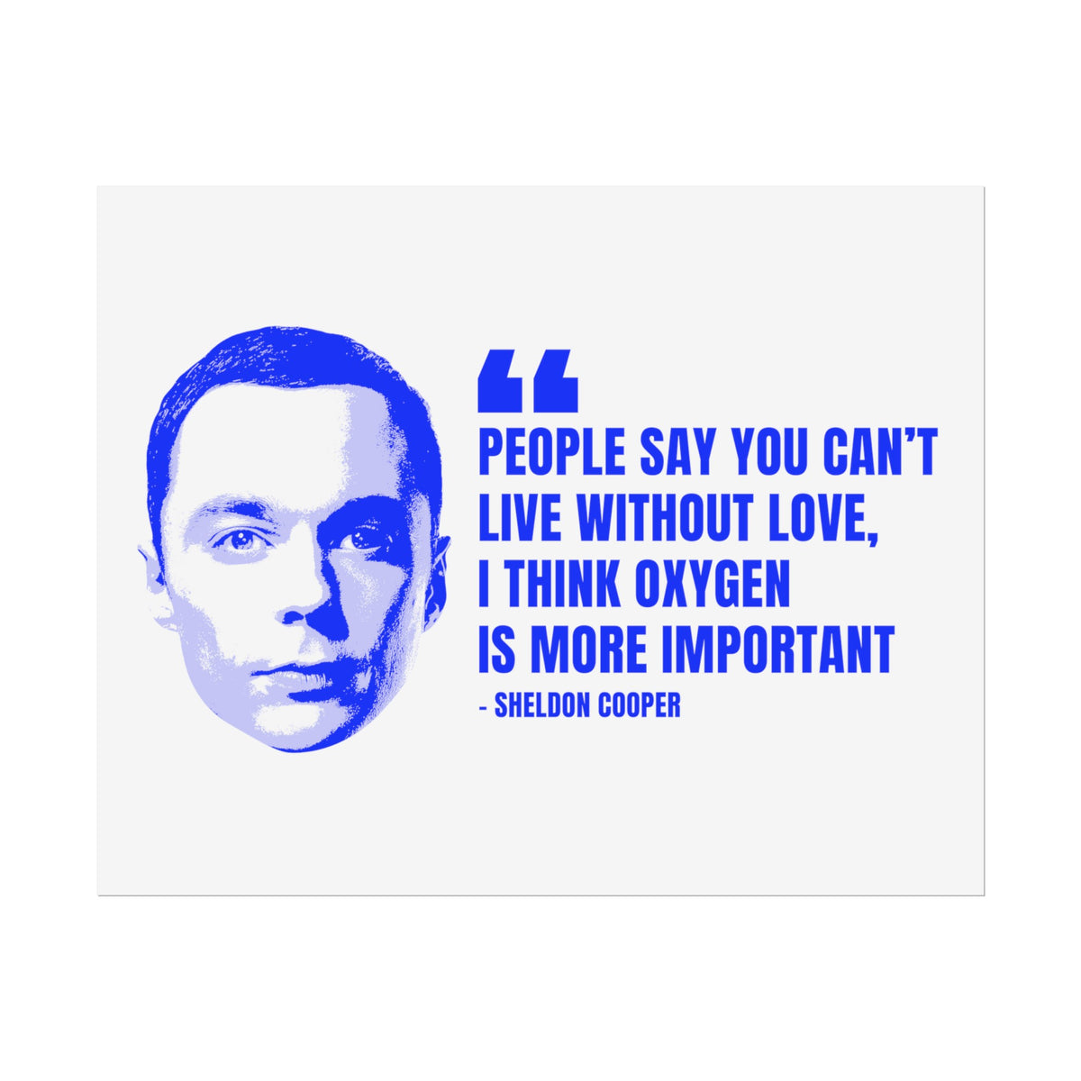 Sheldon Quote Poster