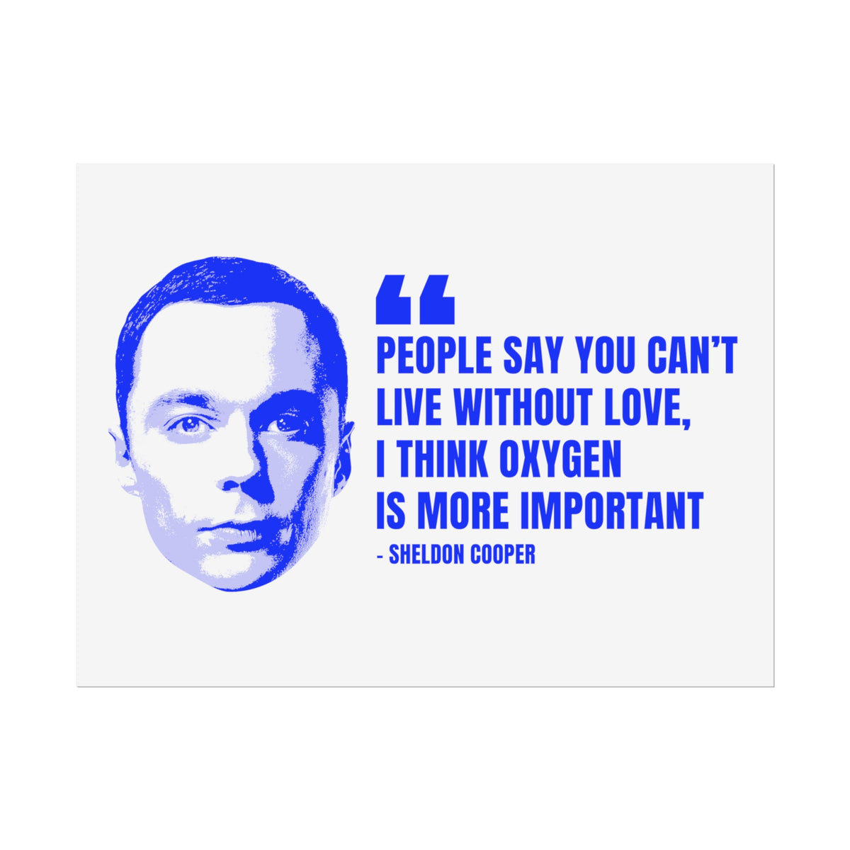 Sheldon Quote Poster