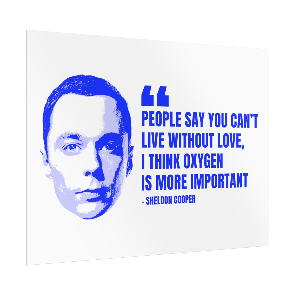 Sheldon Quote Poster