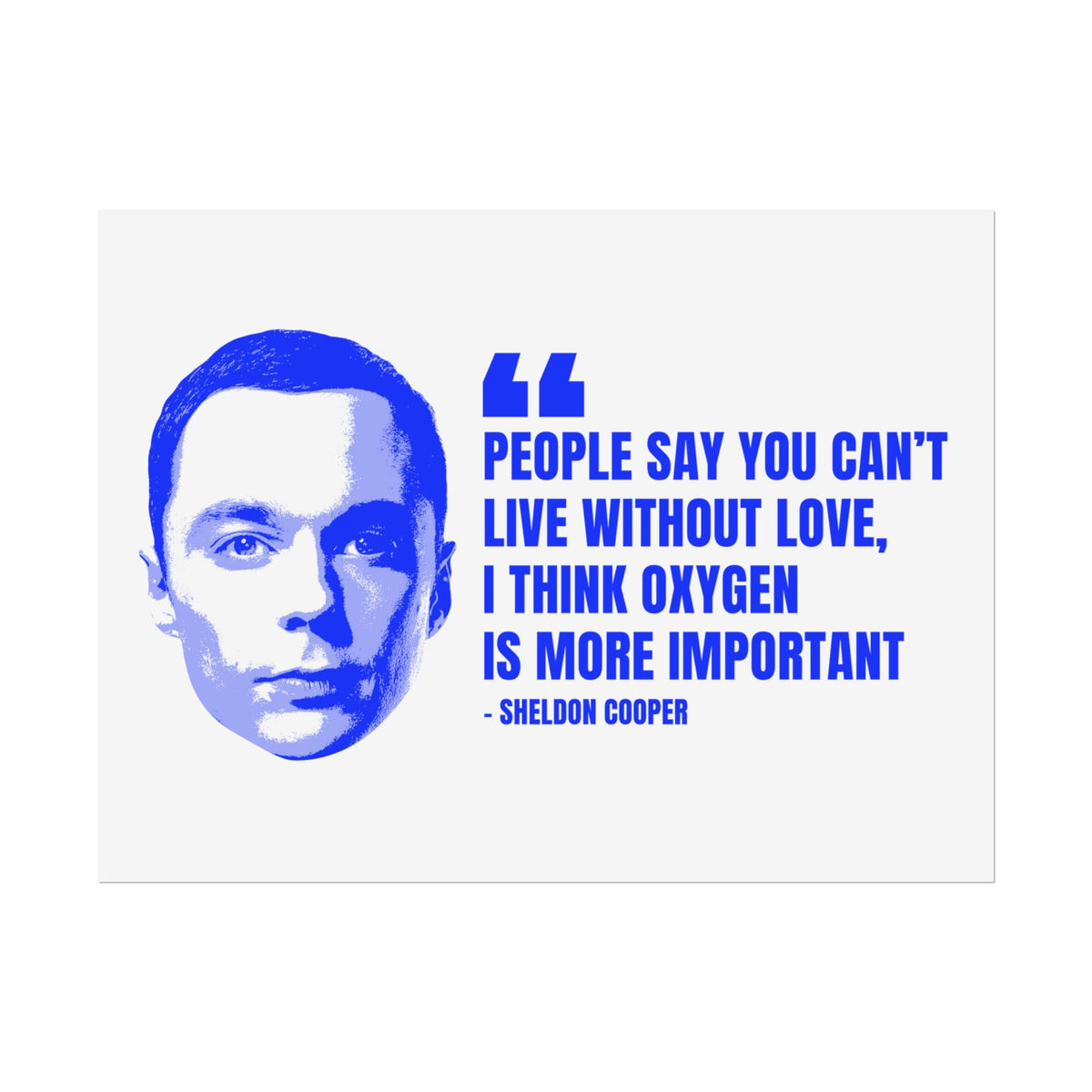 Sheldon Quote Poster