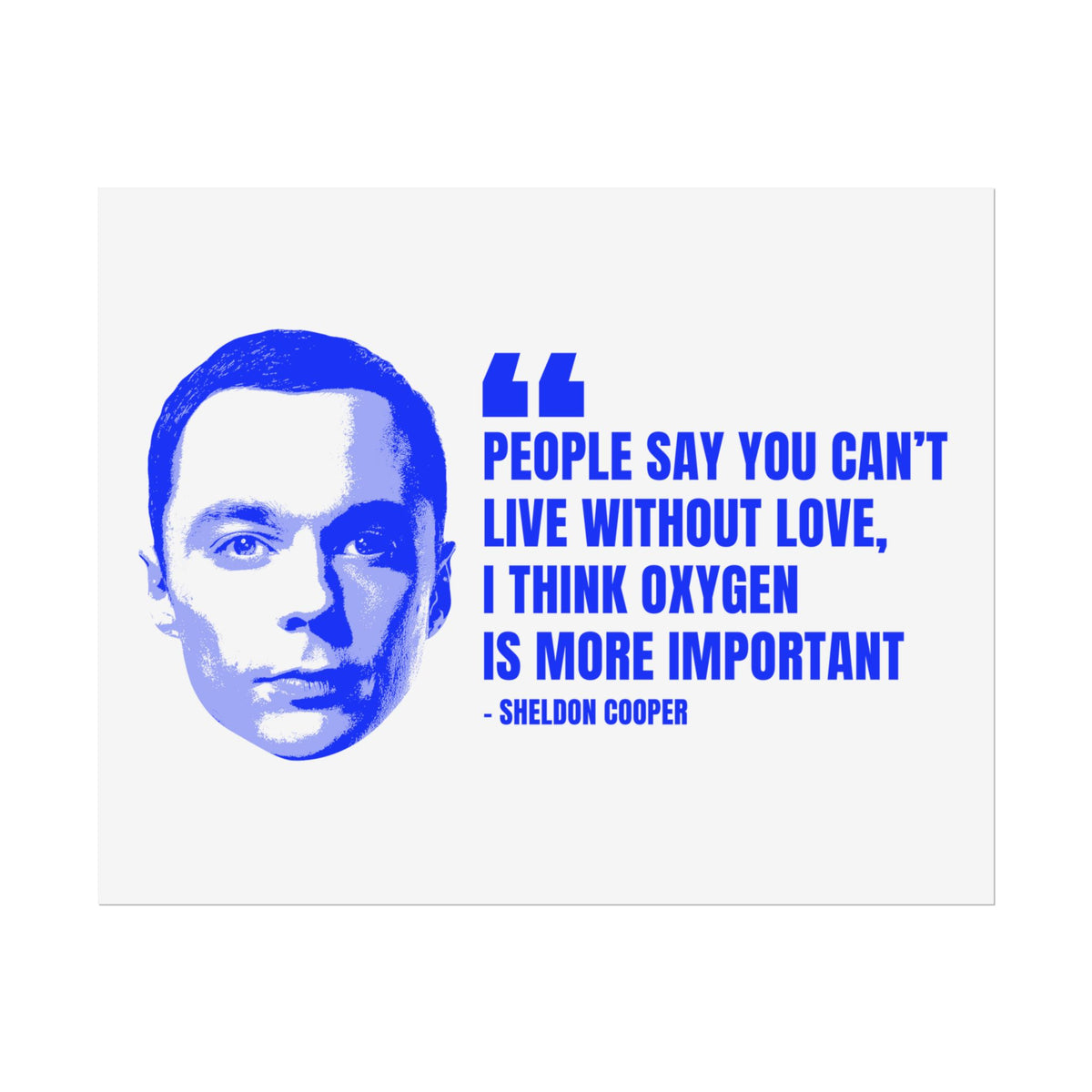 Sheldon Quote Poster