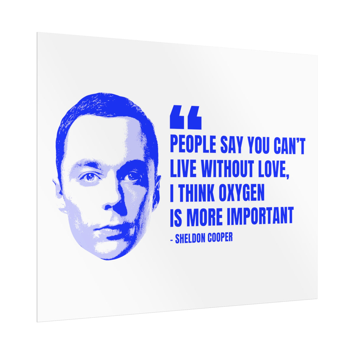 Sheldon Quote Poster