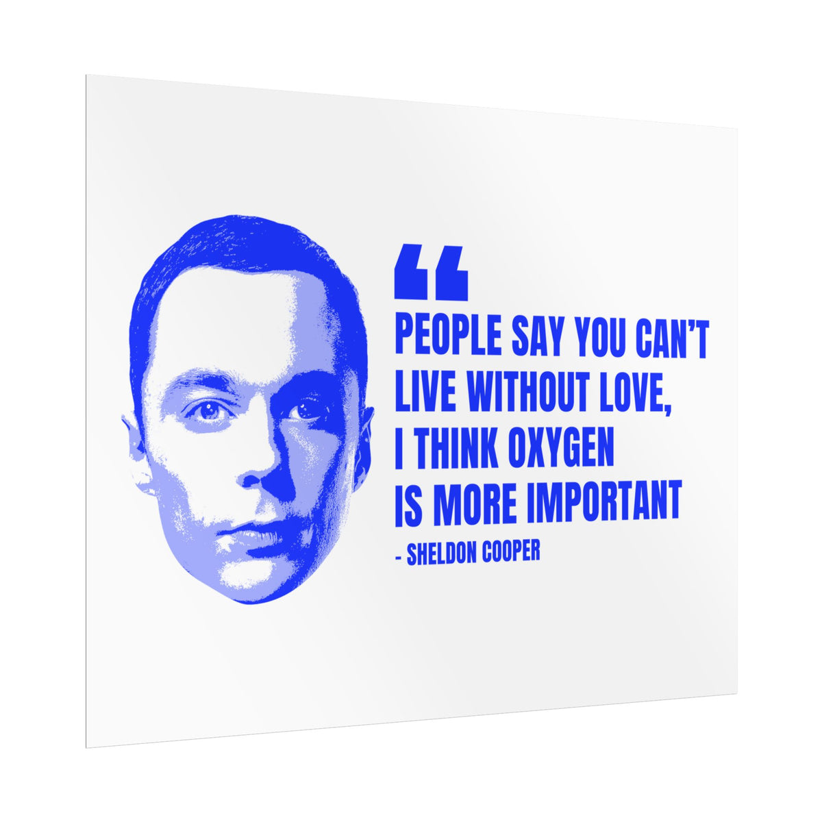 Sheldon Quote Poster